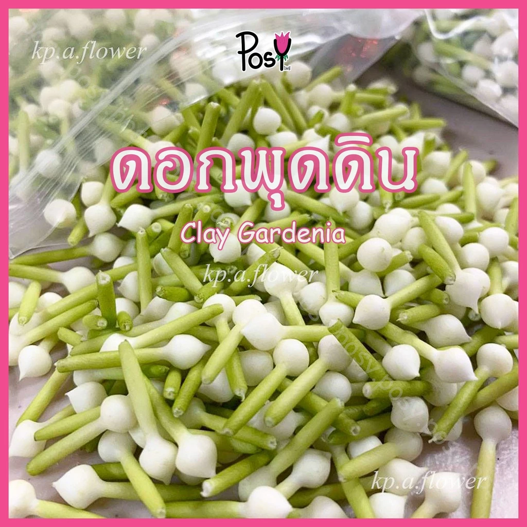 🌼พุดดิน พุดดินปั้นมือ ดอกพุดปลอมร้อยตาข่าย (Clay Gardenia)🌼"มีรูร้อยเข็ม"🔶 ราคาเริ่ม 35 บาท ✅ ส่งไว⚡️งานปั้น Hand-Made