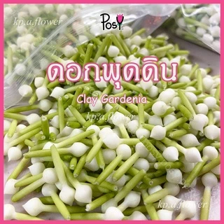 🌼พุดดิน พุดดินปั้นมือ ดอกพุดปลอมร้อยตาข่าย (Clay Gardenia)🌼"มีรูร้อยเข็ม"🔶 ราคาเริ่ม 35 บาท ✅ ส่งไว⚡️งานปั้น Hand-Made