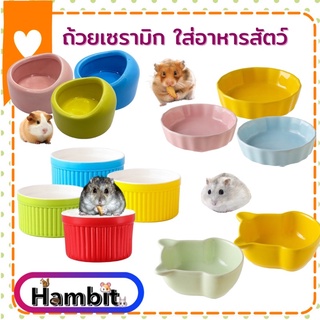 Hambit. ถ้วยอาหารหนูแฮมสเตอร์ ถ้วยอาหารเซรามิก กระรอก เม่นแคระ ชูการ์