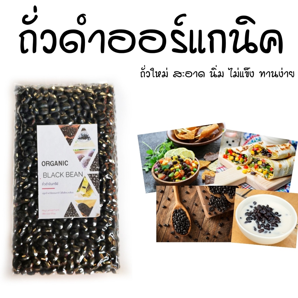 ถั่วดำ ออร์แกนิค 500กรัม สะอาด ไม่แข็ง ทานง่าย แพ็คสูญญากาศเก็บได้นาน ถั่วใหม่เพาะงอกได้ ธัญพืชเพื่อสุขภาพ ถั่ว
