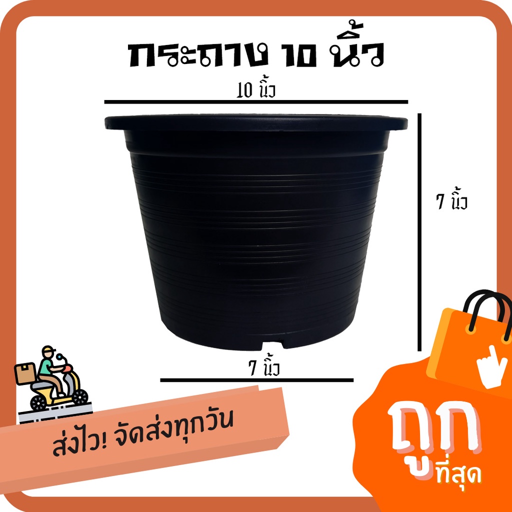 [แตกเคลมทันที]กระถางกลมดำ 10นิ้ว อย่างดี พร้อมส่ง By.คิม เกษตรเงินล้าน