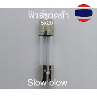 2pcs ฟิวส์แก้ว ขาดช้า 5*20mm slow blow fuse T2A T3.15A T5A T6.3A T10A 250V Glass Fuse 5x20