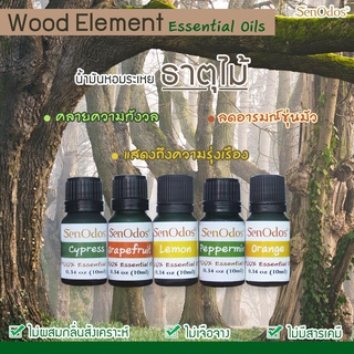 น้ำมันหอมระเหยตามธาตุเจ้าเรือน ธาตุทั้ง 5  น้ำมันหอมระเหยธาตุไม้ 5 Elements Essential Oils Wood Element Essential Oils