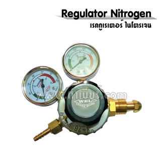 Regulator Nitrogen เรคกูเรเตอร์ไนโตรเจน