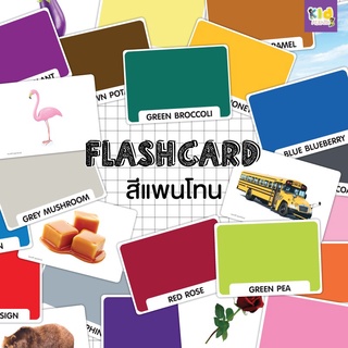 Flash card แพนโทน (Pantone) จำนวน 27 ใบ ขนาด A5