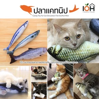 IOH Catnip Doll ตุ๊กตาแคทนิป ตุ๊กตายัดใส้แคทนิป ของเล่นแมว แถมฟรี ผงกัญชาแมว+ไม้มาทาทาบิ