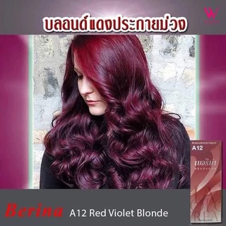 (A1-A20)Berina Hair Color Cream สีย้อมผมเบอริน่า สีเบอริน่า