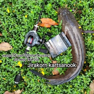 สายช็อคลีด สายฟลูโรคาร์บอน Fluorocarbon ใช้งานได้หลายรูปแบบ สายเอ็น (ส่งเร็ว)
