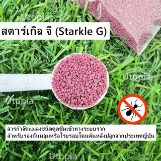 สตาร์เกิล จี (Starkle G) 5g