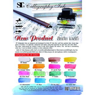 สีหมึก ST Calligraphy Ink