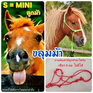 ขลุมม้า ขลุมจูง บังเหียน เชือกจูง ลูกม้า ม้า S ขนาดเล็ก หัวม้า