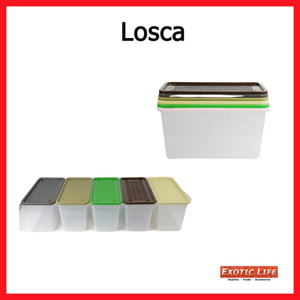 Locsa กล่องเลี้ยงสัตว์เลื้อยคานนำเข้าจากเกาหลีผลิตจากวัสดุอย่างดีมีช่องระบายอากาศมีให้ถึง3ขนาดและมีสีให้เลือกถึง8สี