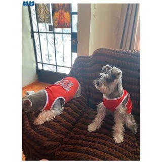 『27Pets』 เสื้อกั๊กบาสเก็ตบอล ระบายอากาศ แฟชั่นฤดูร้อน สําหรับสัตว์เลี้ยง สุนัข แมว