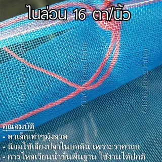 กระชังน้ำมุ้งไนล่อน 16 ตา/นิ้ว ขนาดเต็มเมตร เย็บแน่น แข็งแรง ใช้งานคุ้มค่า เหมาะสำหรับเลี้ยงปลา กบ และสัตว์น้ำทั่วไป