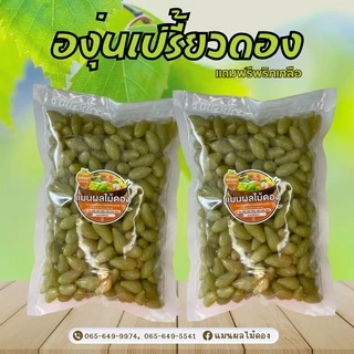 ผลไม้ดอง 500 กรัม องุ่นเปรี้ยว ลูกสวยๆ แถมฟรีพริกเกลือทุกถุง