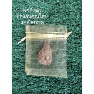 ว่านเพชรกลับ(ขาว)1หัวในถุงไหมแก้ว เด่นทางคุ้มครองแคล้วคลาด นิยมพกติดตัว หัวว่านเพชรกลับ หัวเพชรกลับ