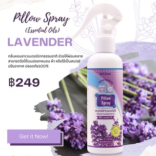 สเปรย์ลาเวนเดอร์ Lavender Pillow Spray สเปรย์ฉีดหมอน สารสกัดลาเวนเดอร์ 100% Herb Basics