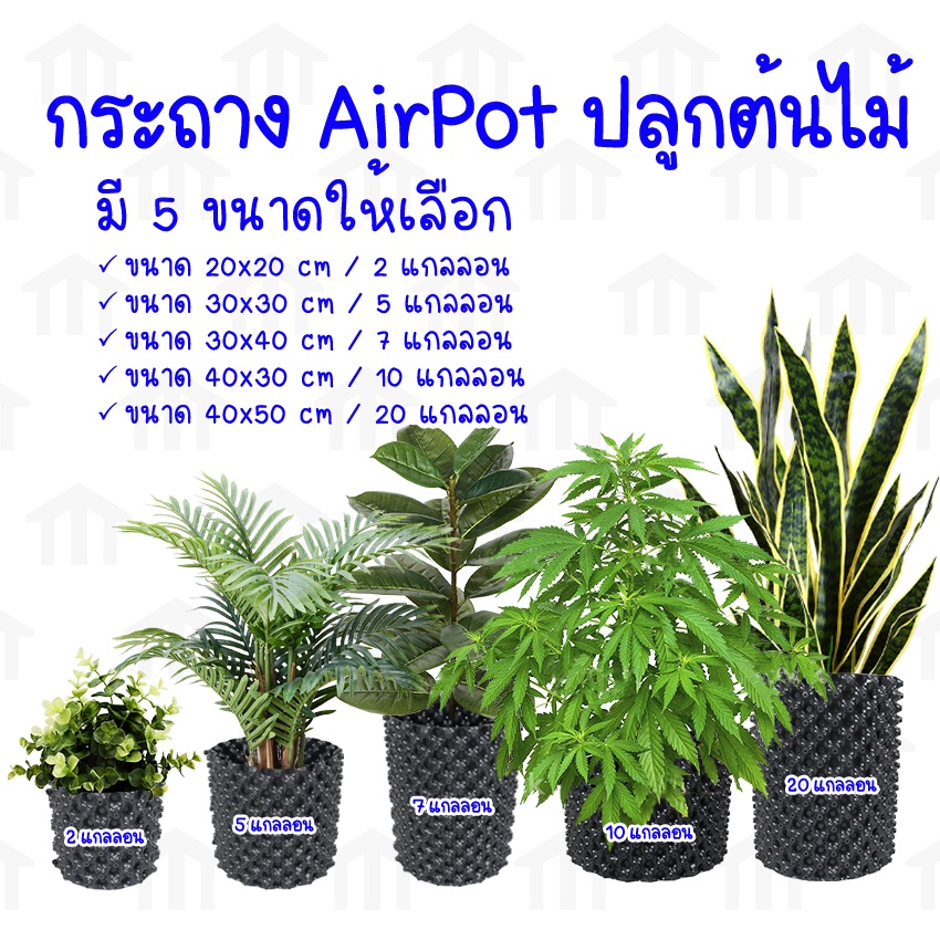 MONZA กระถางปลูกต้นไม้ Air Pot ปลูกกันชา กระถางมีรู มี 5 ขนาดให้เลือก 2,5,7,10,20 แกลลอน