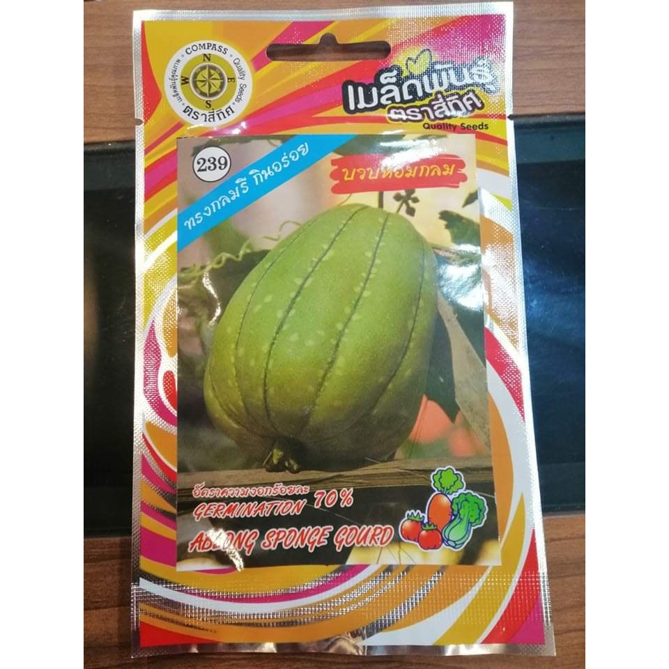 เมล็ดบวบหอมกลม บวบหอม  บวบ เมล็ดบวบ ทรงกลมรี กินอร่อย