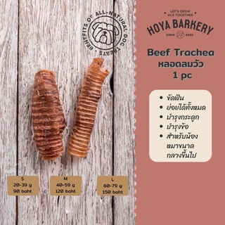 ใหม่มาแรง ✨cow trachea หลอดลมวัว มี 4 ขนาด น้ำหนัก 20-39 กรัม Hoya Barkery