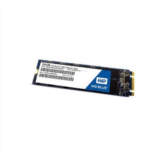 WD SSD 250GB-M.2 3DNAND 5YEAR Model : WDSSD250GB-M.2-3D-5YEAR