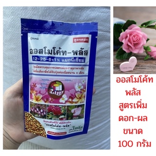 ปุ๋ยออสโมโค้ทพลัส ปุ๋ยสูตรเพิ่มดอก-ผล Osmocote Plus สูตร 12-25-6+1% ซอง 100 กรัม