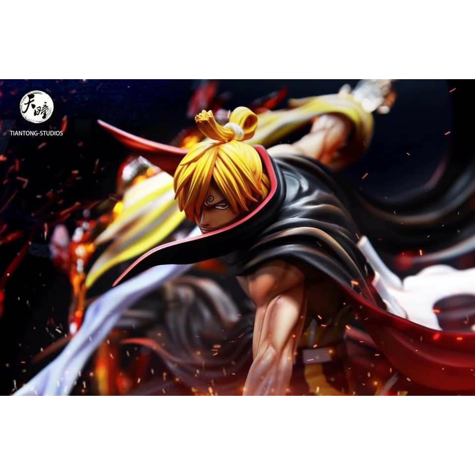 sanji model