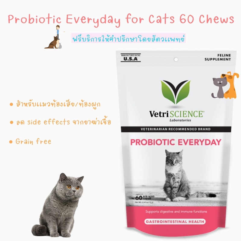 พร้อมส่ง VetriScience Probiotic Everyday 60 เม็ดนิ่ม