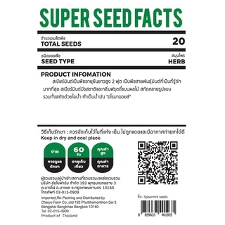 เมล็ด SPEARMINT seed สเปียร์มินต์