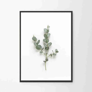 SB Design Square รูปพร้อมกรอบ DoseArt รุ่น Eucalyptus Branch 20x25 cm (23x28 ซม.)