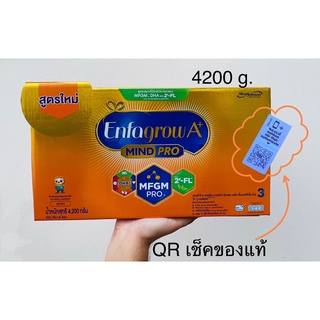 Enfagrow เอนฟาโกร เอพลัส สูตร3 ทุกขนาด