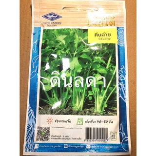 คึ่นฉ่าย เมล็ดพันธุ์เจียไต๋ สินค้าพร้อมจัดส่ง