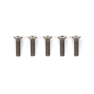 TAMIYA 53536 3x12mm TITANIUM COUNTERSUNK HEX HEAD SCREW (5PCS.)