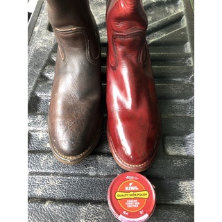 kiwired เรดวิง red wing  toney red  redwing  กีวี่สีแดง