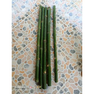 ไม้ไผ่แก่คัดพิเศษ ส่งขายทั้งลำ ยาวลำล่ะ 95 ซม.เส้นผ่าศูนย์กลางกว้าง2-3ซม.