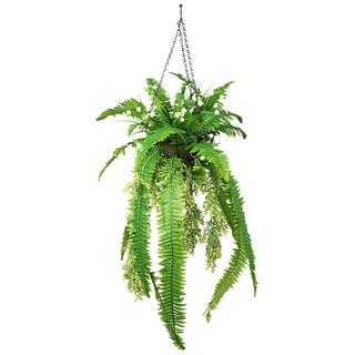 กระเช้าเฟิร์นประดิษฐ์ WACH 17 ARTIFICIAL FERN WITH HANGING BASKET SPRING WACH 17