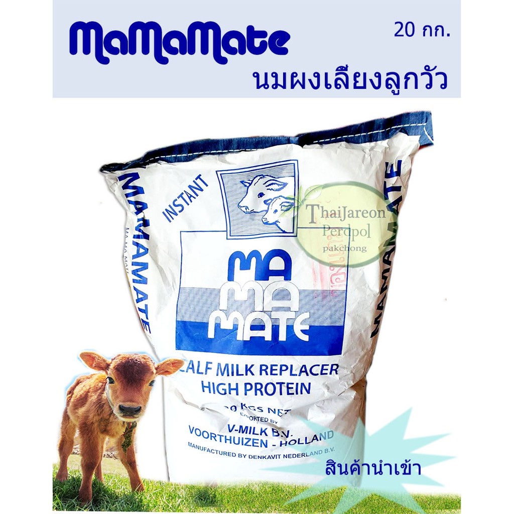 นมผง mamamate สำหรับสัตว์ นมเลี้ยงวัว นมผงสำหรับลูกวัว ลูกโค กระบือ นมเลี้ยงลูกวัว นำเข้า ฮอลแลนด์ เกรดพรีเมียม แบ่งขาย
