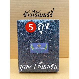 (5 กิโลกรัม) ข้าวใหม่ ข้าวไรซ์เบอร์รี่ ถูกสุดๆ ต่อต้านอนุมูลอิสระได้ดี สร้างประสิทธิภาพในการไหลเวียนของเลือด ซีลสูญญากาศ