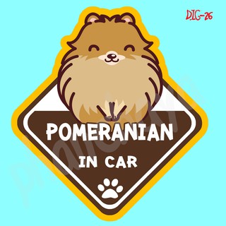 DIC26 สติ๊กเกอร์ ติดรถ Pomeranian Dog In Car สติ๊กเกอร์ติดรถ แต่งรถ car sticker