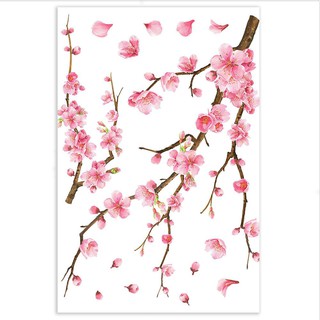 sticker DIY WALL DECAL HOME LIVING STYLE SAKURA 34X47CM Stickers Wallpapers Home &amp; Furniture สติ๊กเกอร์ สติ๊กเกอร์ลอกน้ำ