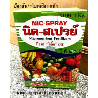 นิค-สเปรย์ Nicspray X 1 Kg. ปุ๋ยเคมี ธาตุอาหารรอง-ธาตุอาหารเสริม แก้ใบเหลือง ใบร่วง ป้องกันดอกร่วง