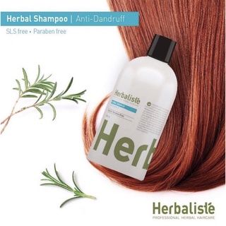 [แชมพู สูตรขจัดรังแค 🍃🇰🇷] Herbaliste Anti Dandruff Shampoo