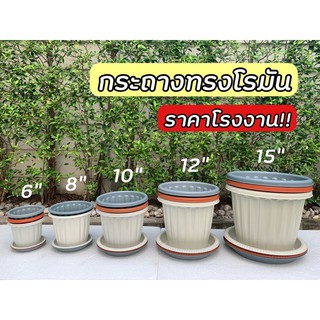 กระถางโรมัน 6 นิ้ว - 10 นิ้ว กระถางต้นไม้ กระถางพลาสติก