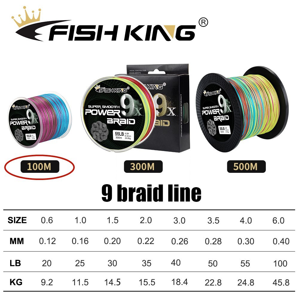 Fishing King 100M 9X Strands Braided Fishing Line Multifilament Pe Line Braided Fishing Line