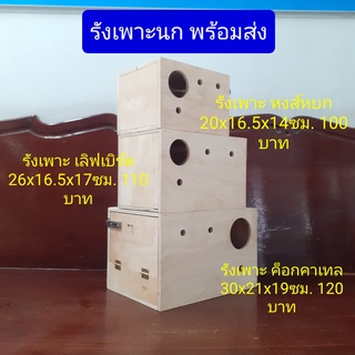 รังเพาะ หงส์หยก 20x16.5x14ซม. 100 บาท