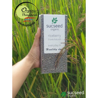 ข้าวไรซ์เบอร์รี่ ข้าวกล้อง ไรซ์เบอรี่ อินทรีย์ ตราซักซี๊ด ออร์แกนิค Sucseed Organic บรรจุ 1 kg. แพ็คสูญญากาศ