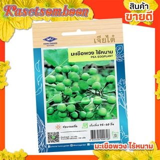 เมล็ดมะเขือพวง เจียไต๋ ( 10 แถม 1 ) เมล็ดผักซอง บรรจุ 170 เมล็ด/ซอง ขนาด 15 บาท ตรา เจียไต๋