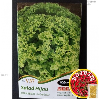 [Paling Horticulture Sdn Bhd] USA Green Lettuce Seeds | JC Garden头饰/鲜花/种子/向日葵/玫瑰/上衣/香菜/芹菜/苹果/花园/ SK1N