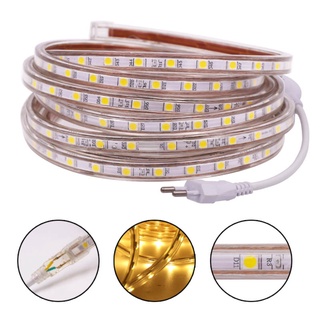แถบไฟ LED 60 ดวง SMD 5050 กันน้ํา ยืดหยุ่น สีขาว สีฟ้า พร้อมปลั๊กสวิตช์