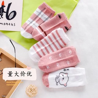 ถุงเท้าข้อสั้นผู้หญิง นุ่มสบาย ใส่สบายตลอดวัน🧦 ถุงเท้า แบบสั้น ลายแมว น้องแมว น่ารักๆ ถุงเท้าข้อสั้น ถุงเท้าแฟชั่น